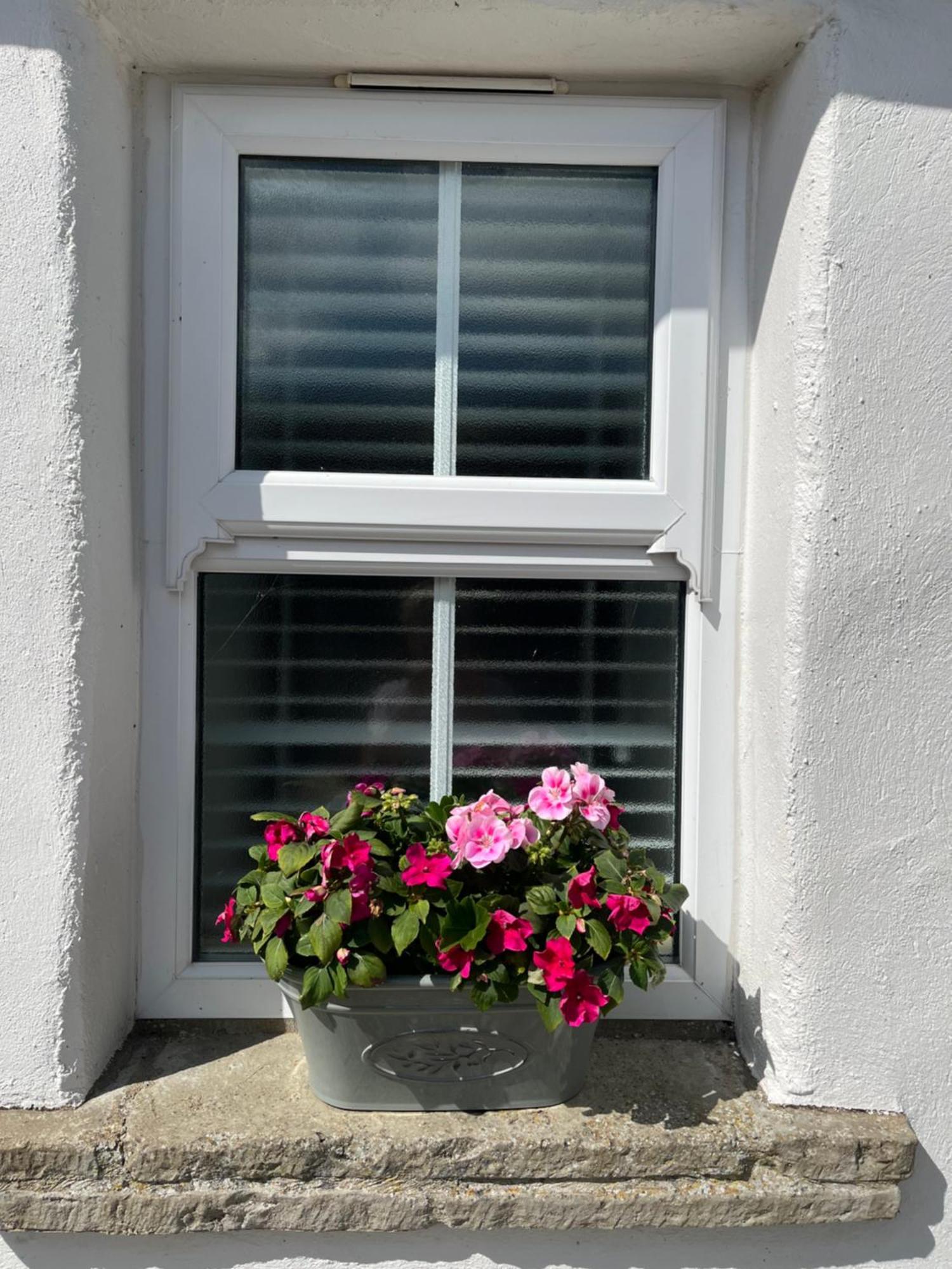The Cottage At Ashbrook - Charming Country Cottage Near ベルファスト エクステリア 写真